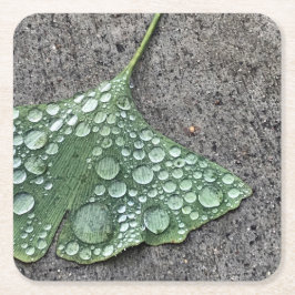 Green Ginko Leaf met Water Droplets Kartonnen Onderzetters
