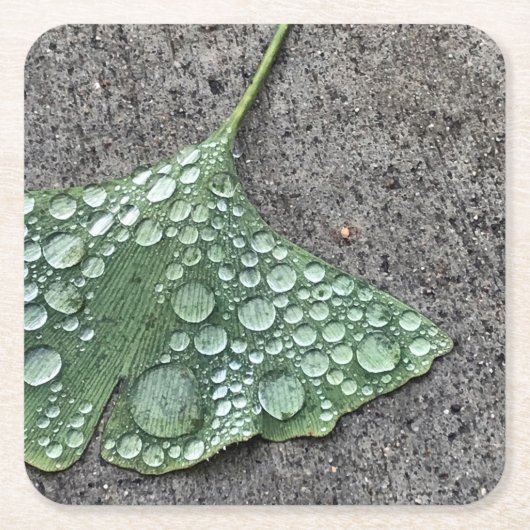 Green Ginko Leaf met Water Droplets Kartonnen Onderzetters (Voorkant)