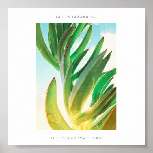 Green Goodness Succulent Plant Aloe Poster (Voorkant)