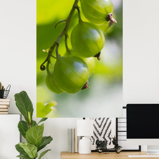 Green Gooseberries CC0208 Wake Up Poster (Thuiskantoor)