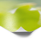 Green Gooseberries Wake Up CC0306 Photo Print Foto Afdruk (Hoek)