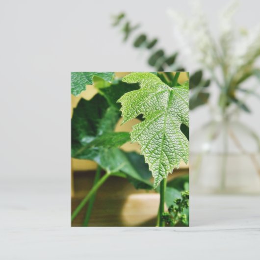 Green Grape Leaf Briefkaart (Staand voorkant)