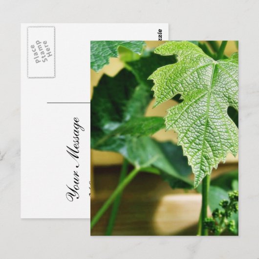 Green Grape Leaf Briefkaart (Voorkant / Achterkant)