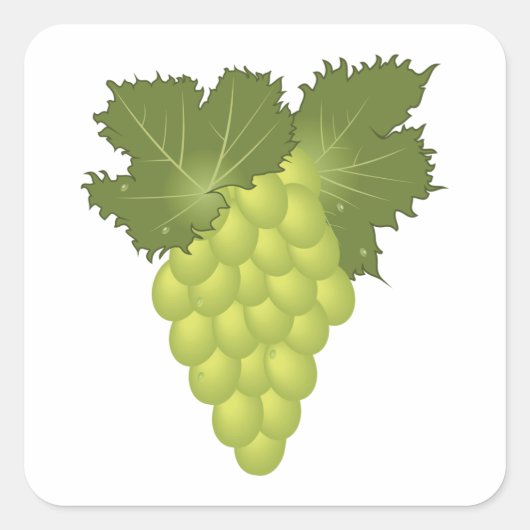 Green Grapes Square Sticker (Voorkant)