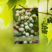Green Grapes Vineyard Engagement Party Kaart