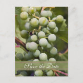 Green Grapes Vineyard Wedding Save the Date Aankondigingskaart (Voorkant)