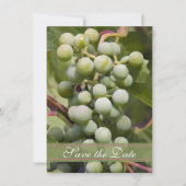 Green Grapes Vineyard Wedding Save the Date Kaart (Voorkant)