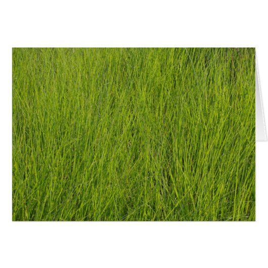 Green Grass (Voorkant Horizontaal)