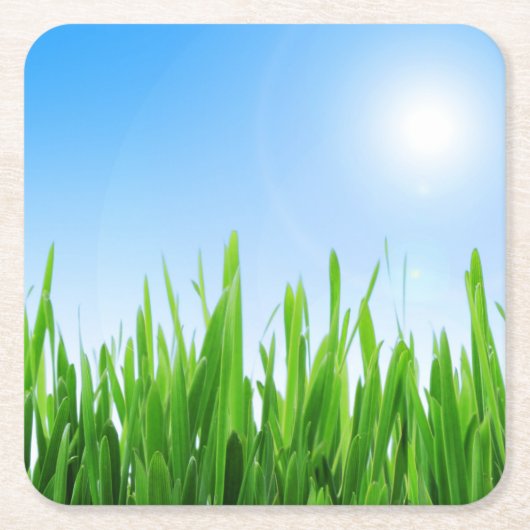 Green Grass And Sky Banner Kartonnen Onderzetters (Voorkant)