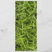 Green Grass Backyard Summer Wedding Programme Programmakaart (Achterkant)