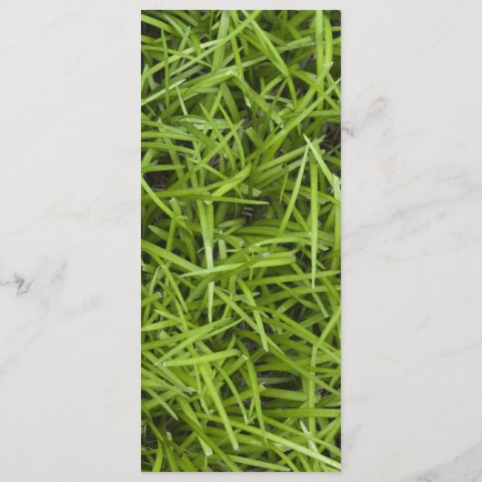 Green Grass Backyard Summer Wedding Programme Programmakaart (Achterkant)