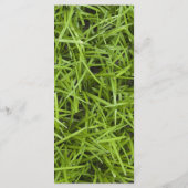 Green Grass Backyard Wedding Programme Programmakaart (Achterkant)