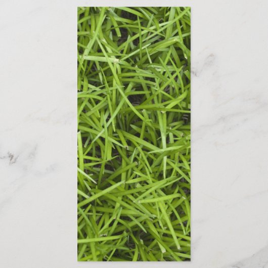 Green Grass Backyard Wedding Programme Programmakaart (Achterkant)