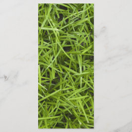 Green Grass Backyard Wedding Programme Programmakaart
