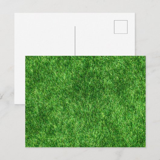 Green Grass Briefkaart (Voorkant / Achterkant)