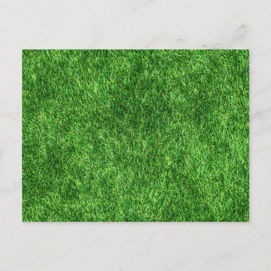 Green Grass Briefkaart (Voorkant)