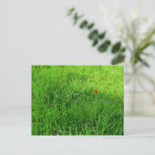 Green Grass Briefkaart (Staand voorkant)