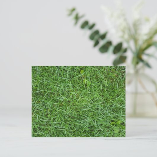 Green Grass Briefkaart (Staand voorkant)
