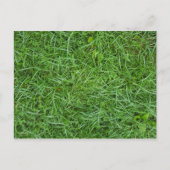 Green Grass Briefkaart (Voorkant)