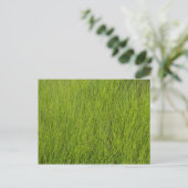 Green Grass Briefkaart (Staand voorkant)