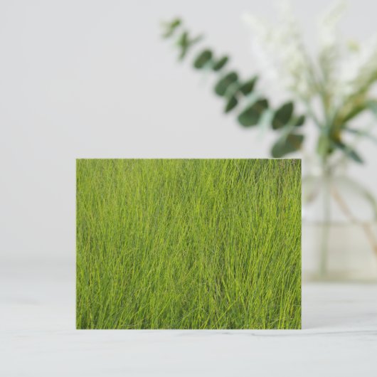 Green Grass Briefkaart (Staand voorkant)