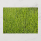 Green Grass Briefkaart (Voorkant)