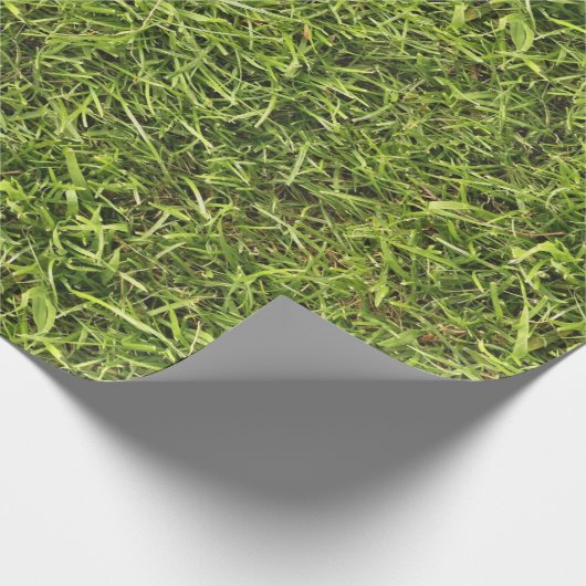 Green Grass Cadeaupapier (Hoek)