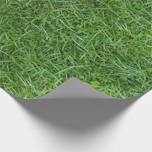 Green Grass Cadeaupapier (Hoek)