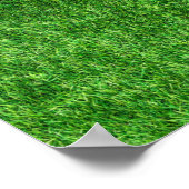 Green Grass Poster (Hoek)