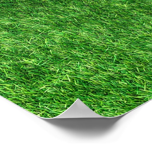 Green Grass Poster (Hoek)