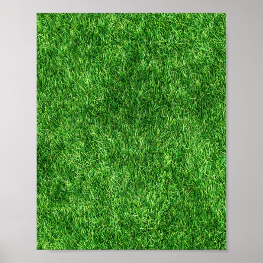 Green Grass Poster (Voorkant)