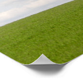 Green Grass Poster (Hoek)