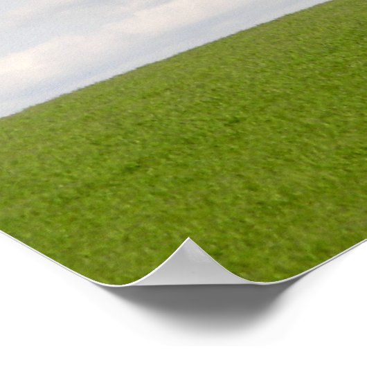 Green Grass Poster (Hoek)