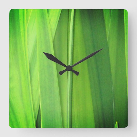 Green Grass Reeds Closeup Vierkante Klok (Voorkant)