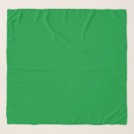 Green Grass Sjaal<br><div class="desc">Groen Gras effen kleur Chifon Sjaal van Gerson Ramos.</div>
