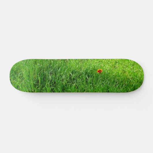 Green Grass Skateboard (Horizontaal)