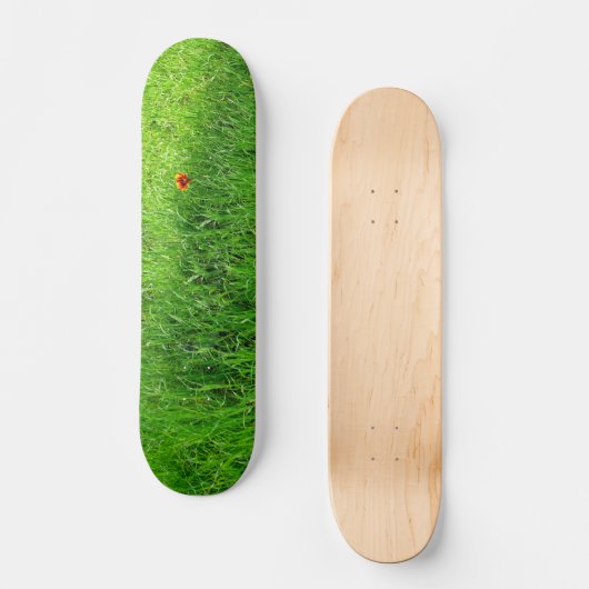 Green Grass Skateboard (Voorkant)