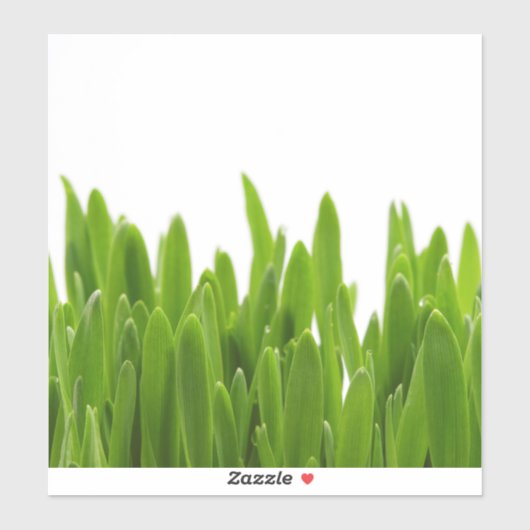 Green Grass Sticker (Vel)
