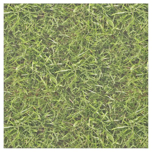 Green Grass Stof (Close Up)