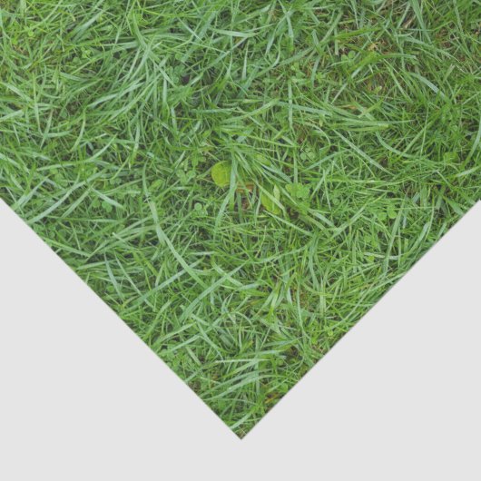Green Grass Tissuepapier (Detail)