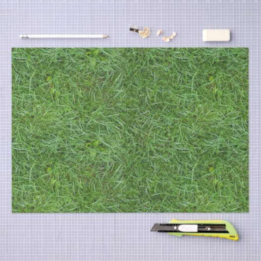 Green Grass Tissuepapier (Craft)