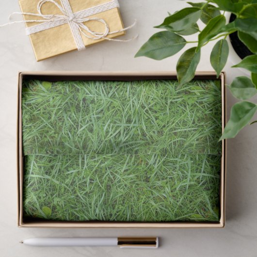 Green Grass Tissuepapier (Geschenk)