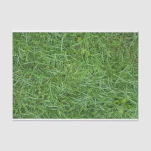 Green Grass Tissuepapier