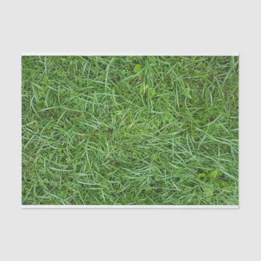 Green Grass Tissuepapier (Voorkant)