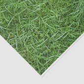 Green Grass Tissuepapier (Detail)