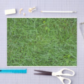 Green Grass Tissuepapier (Craft)