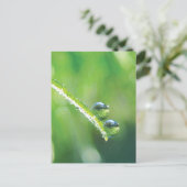 Green Grass With Dew Drops Reflecting Earth Briefkaart (Staand voorkant)