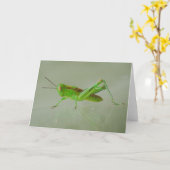 Green Grasshopper kaart (Gele Bloem)
