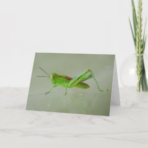 Green Grasshopper kaart