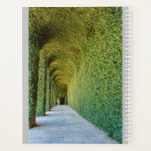 green greenhouse ficus repens on planner (Achterkant)